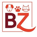 bauzaar.it