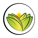 theayurvedaexperience.it